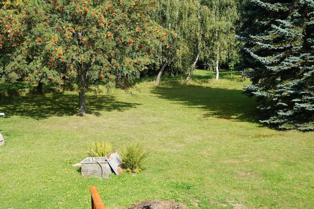 Apartmany Alex بينيكو المظهر الخارجي الصورة